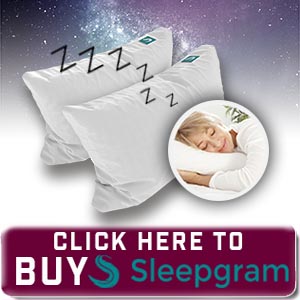 Sleepgram Pillow